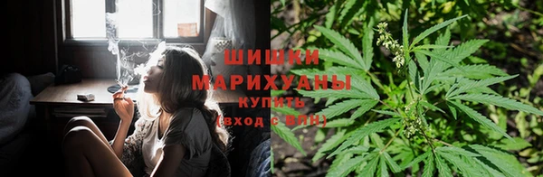 ГАЛЛЮЦИНОГЕННЫЕ ГРИБЫ Заволжск