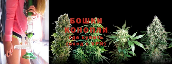 МДМА Белокуриха