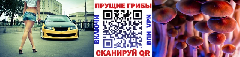 Псилоцибиновые грибы Cubensis  цена   Воскресенск 